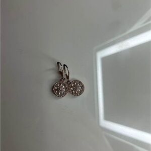 Elegant Dangle Earrings